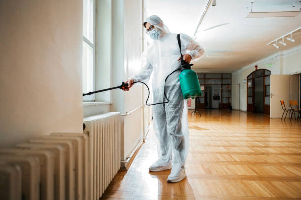 Best Residential Pest Control  in Mattydale, NY